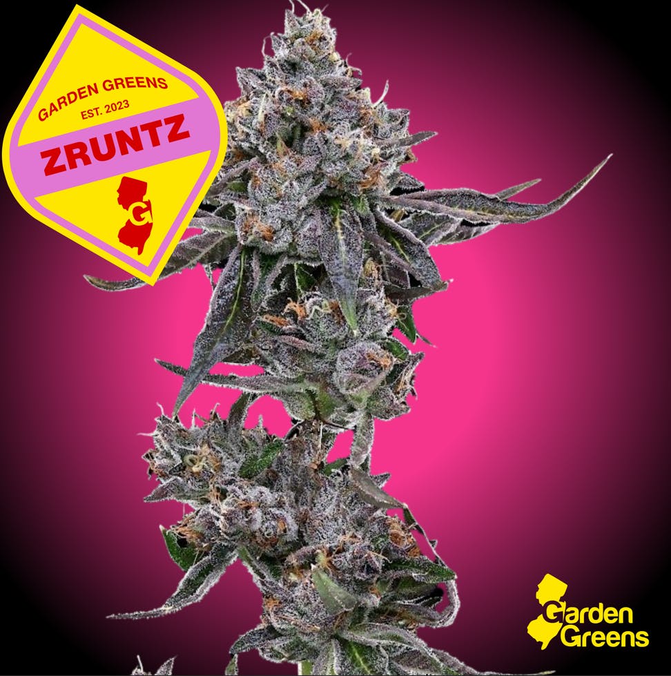 Garden Greens Zruntz - 3.5g - 3.5g | 🌱Flower🌳 | Garden Greens