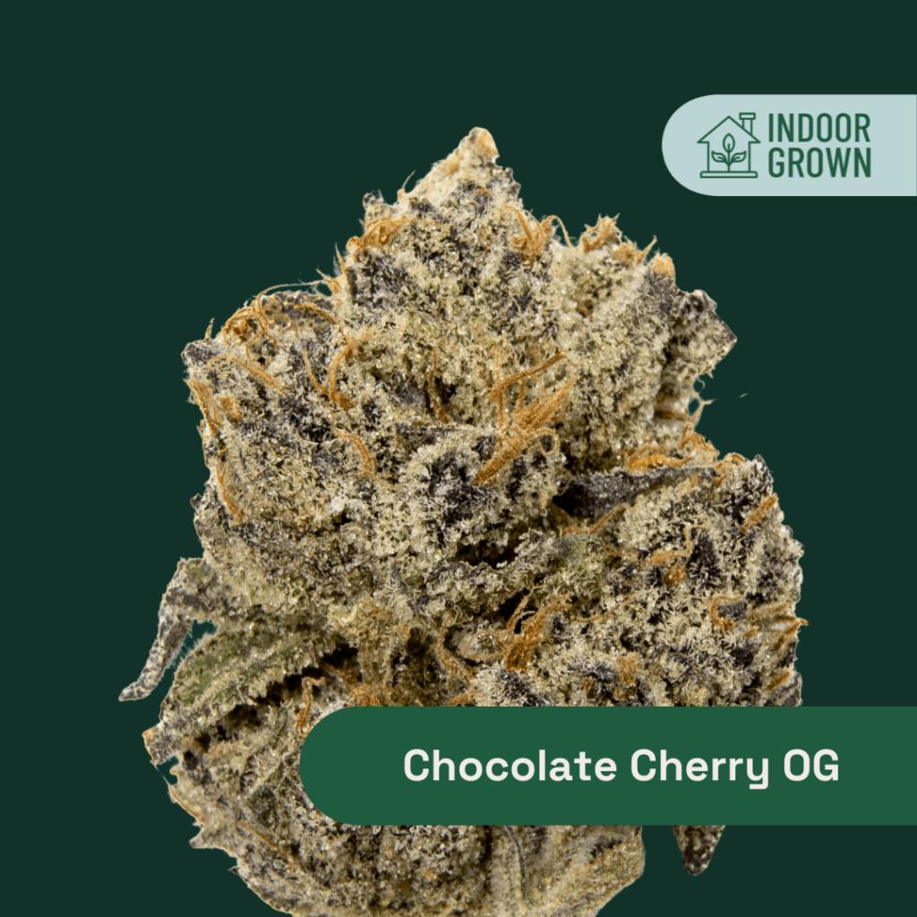 the-botanist | Indigo Dispensary (Rec) | 302 Crescent Boulevard Brooklawn,  NJ 08030