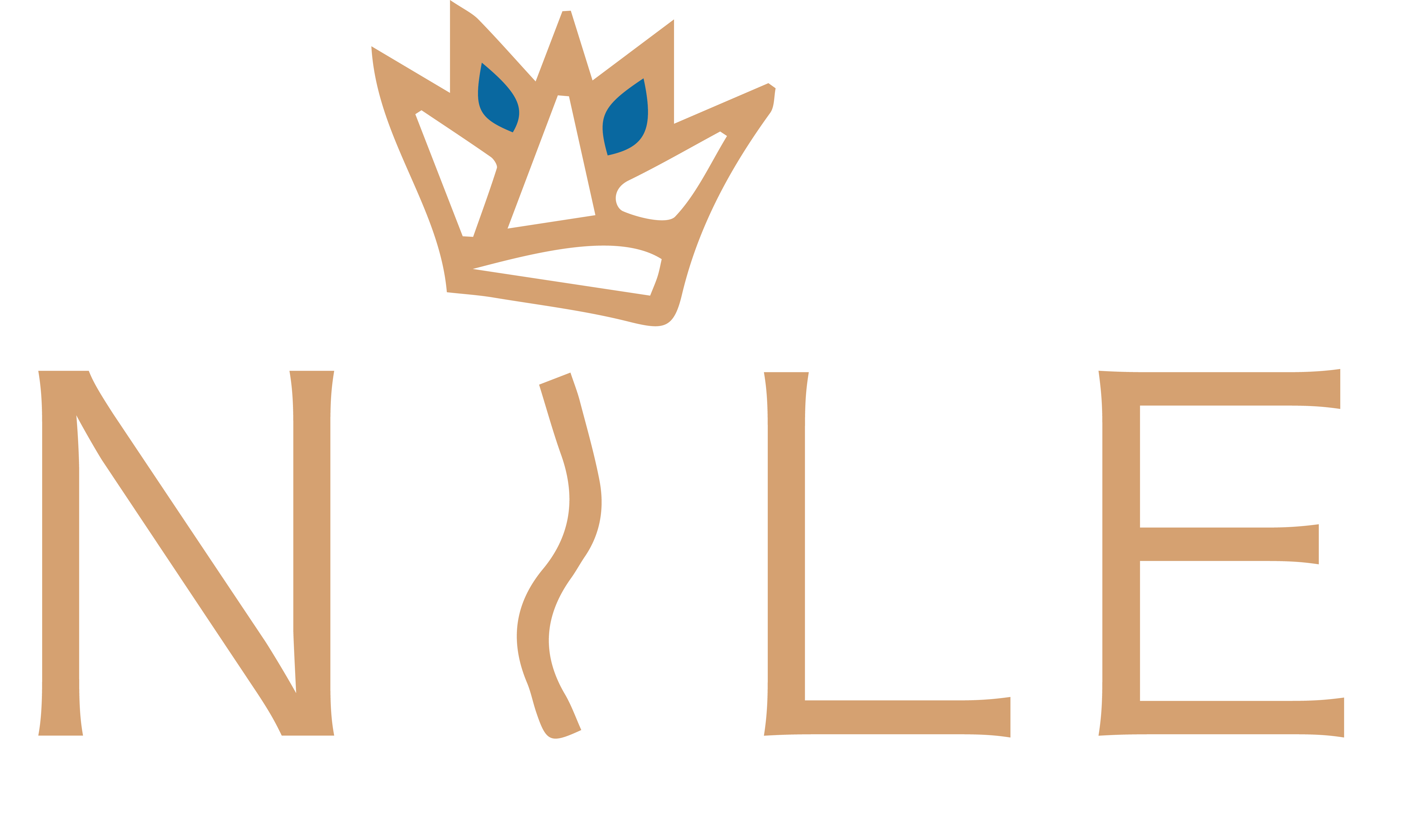 Nile (Rec) logo