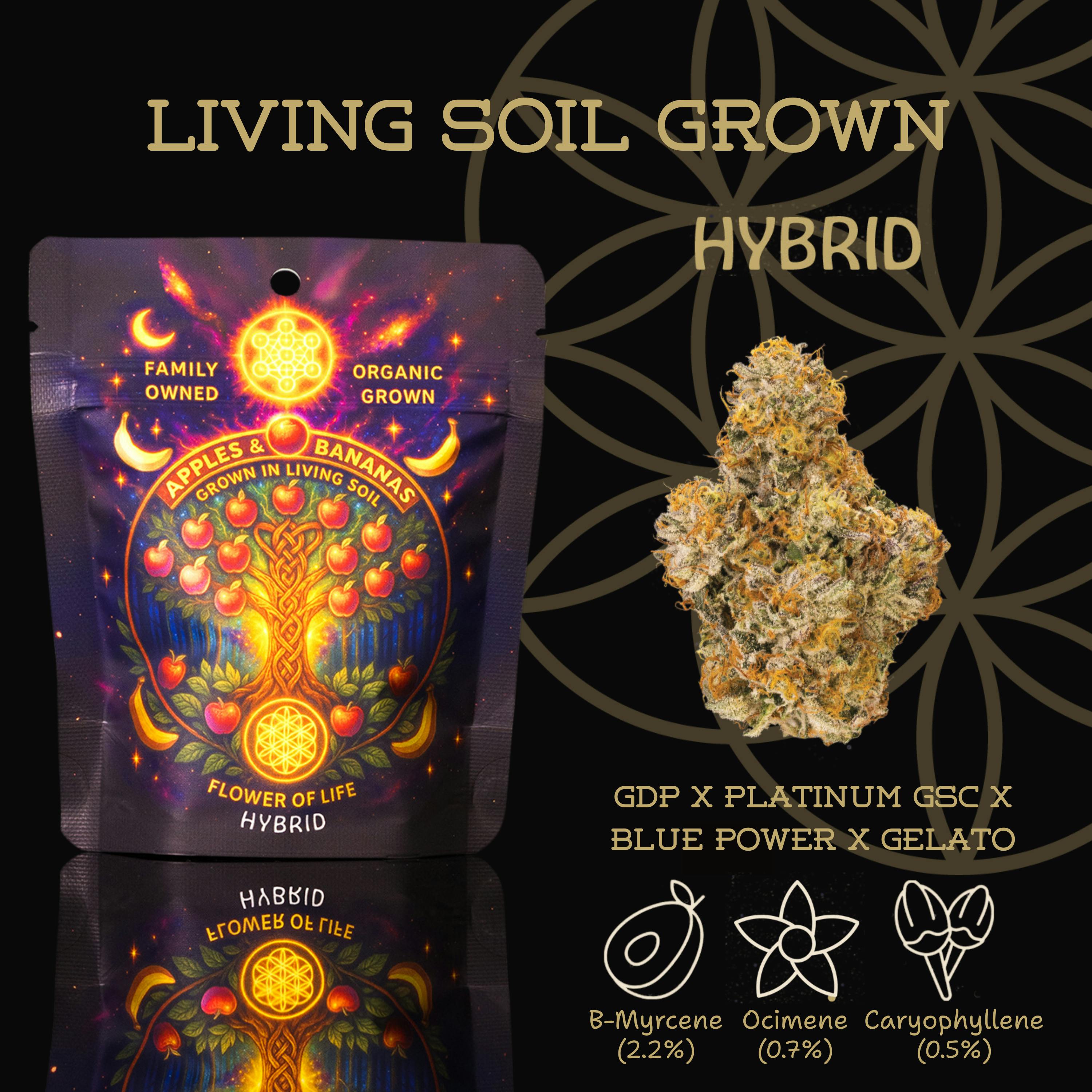 FLOWER OF LIFE – In The Pines | 1:1 THC:CBD Flower - 14g for Sale