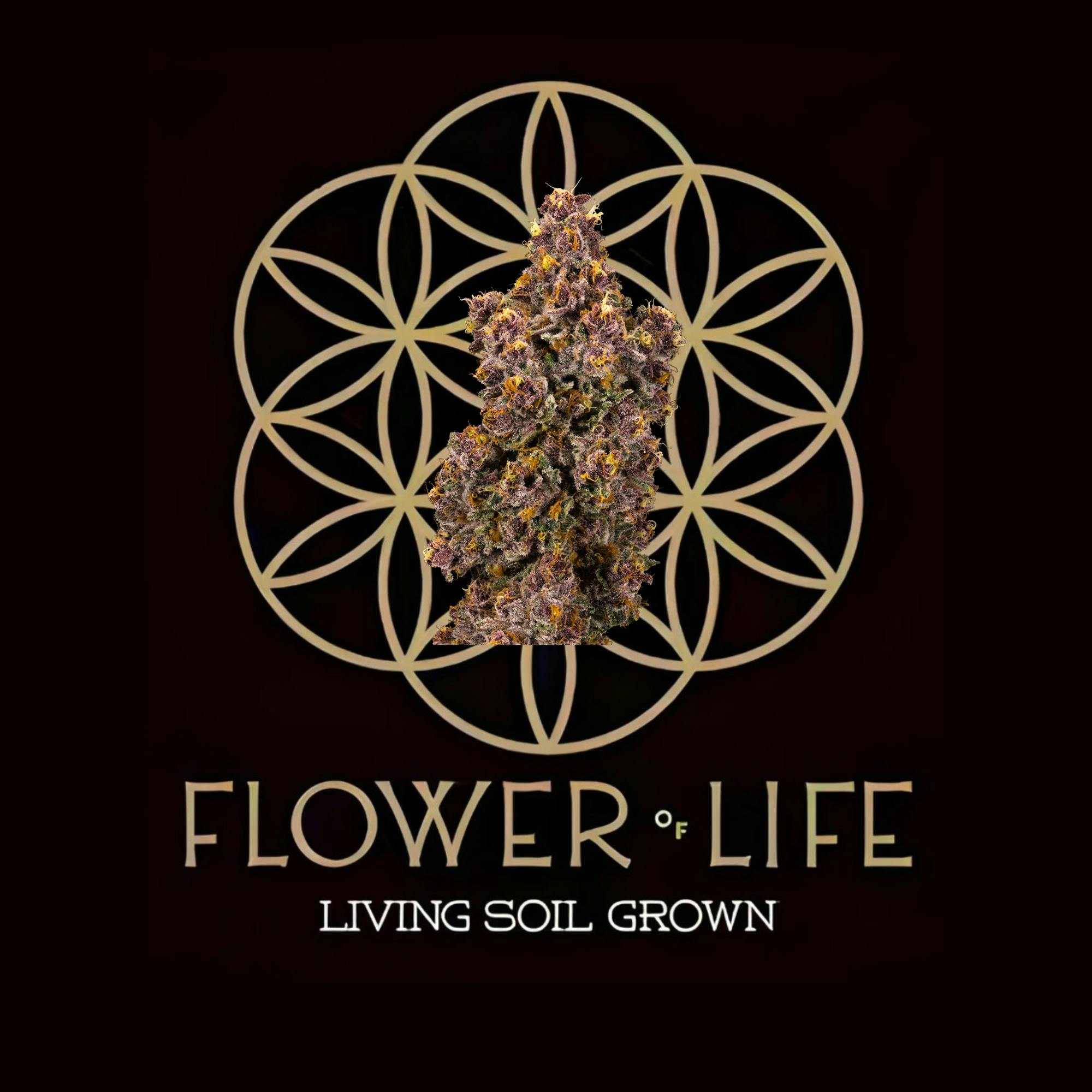 flower-of-life Cannabis for Sale in Ironwood, MI | Drive-Thru