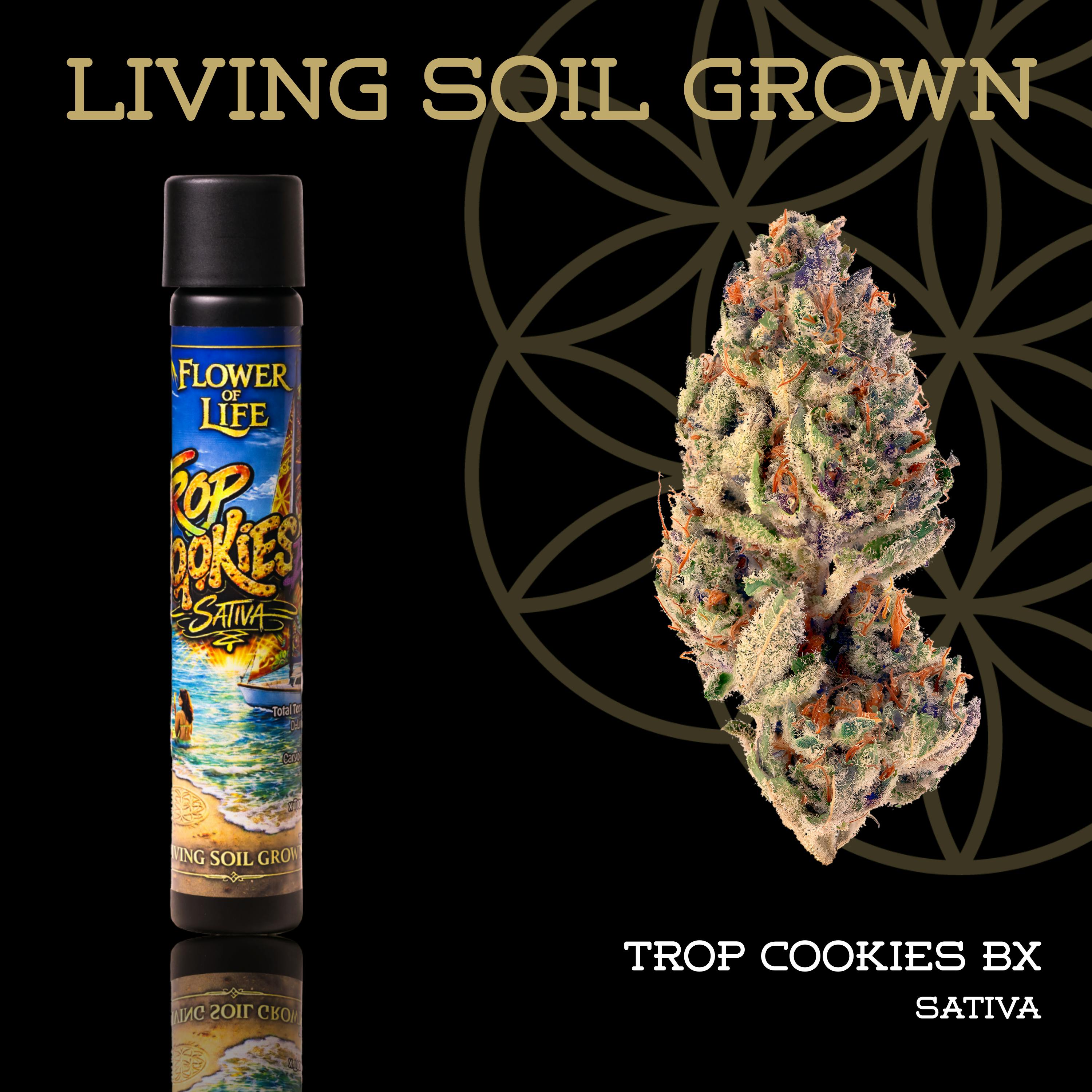 FLOWER OF LIFE – Tropicana Cookies BX | Pre-Roll - 1g for Sale in