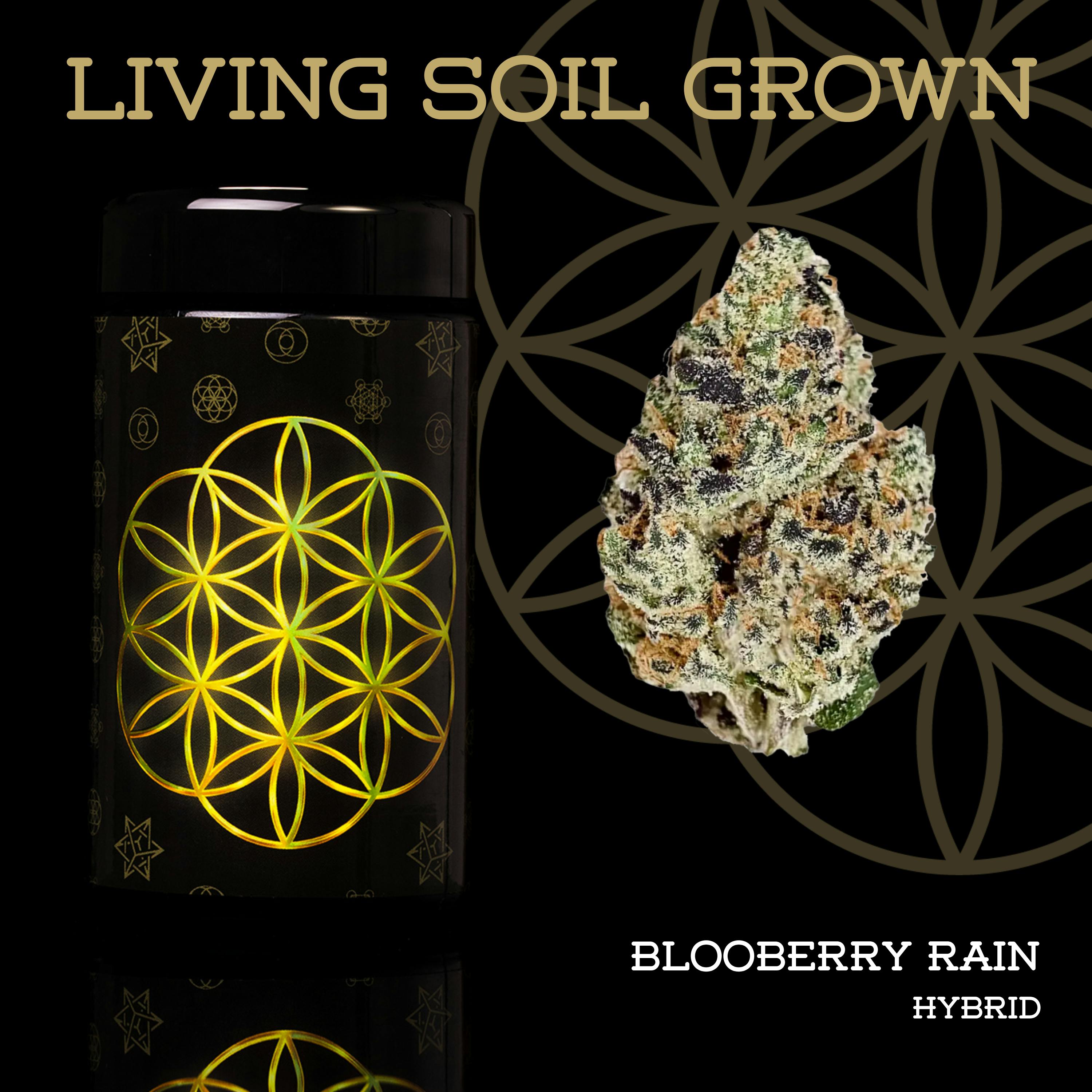 FLOWER OF LIFE – GMO Zkittles | Pre-Roll - 1g for Sale in Ironwood