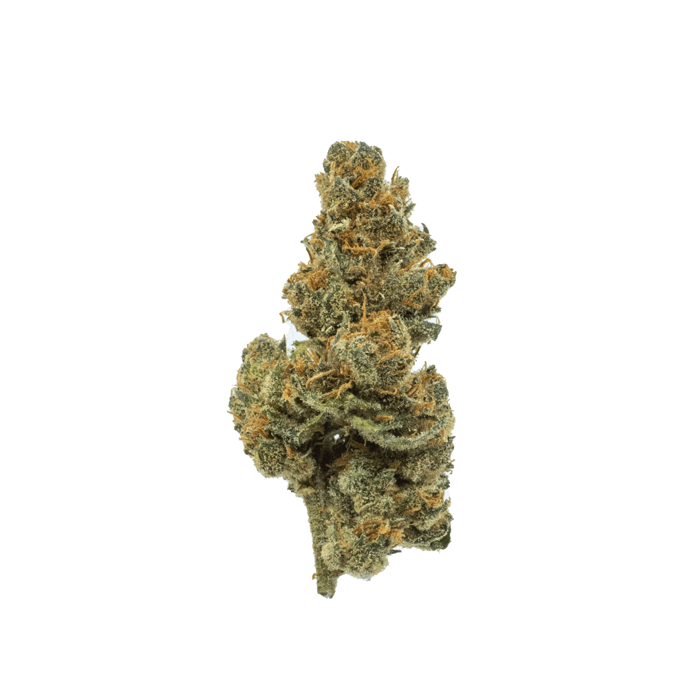 百貨店福袋 1g - Bulk - (Indoor) Apricot Strawberry | Flower Cannabis ワイン