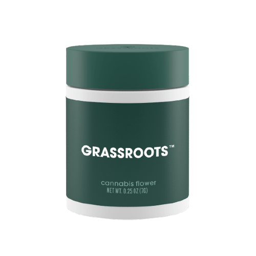 Shop Dilly Bars 7g Flower by Grassroots Springfield, IL Horizon Drive Ascend Cannabis