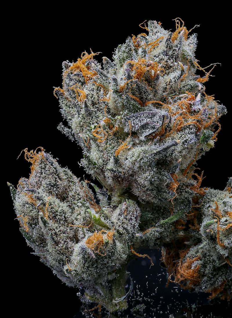 Shop Purple Sour | 3.5g - 3.5g at Long Island's Best Recreational