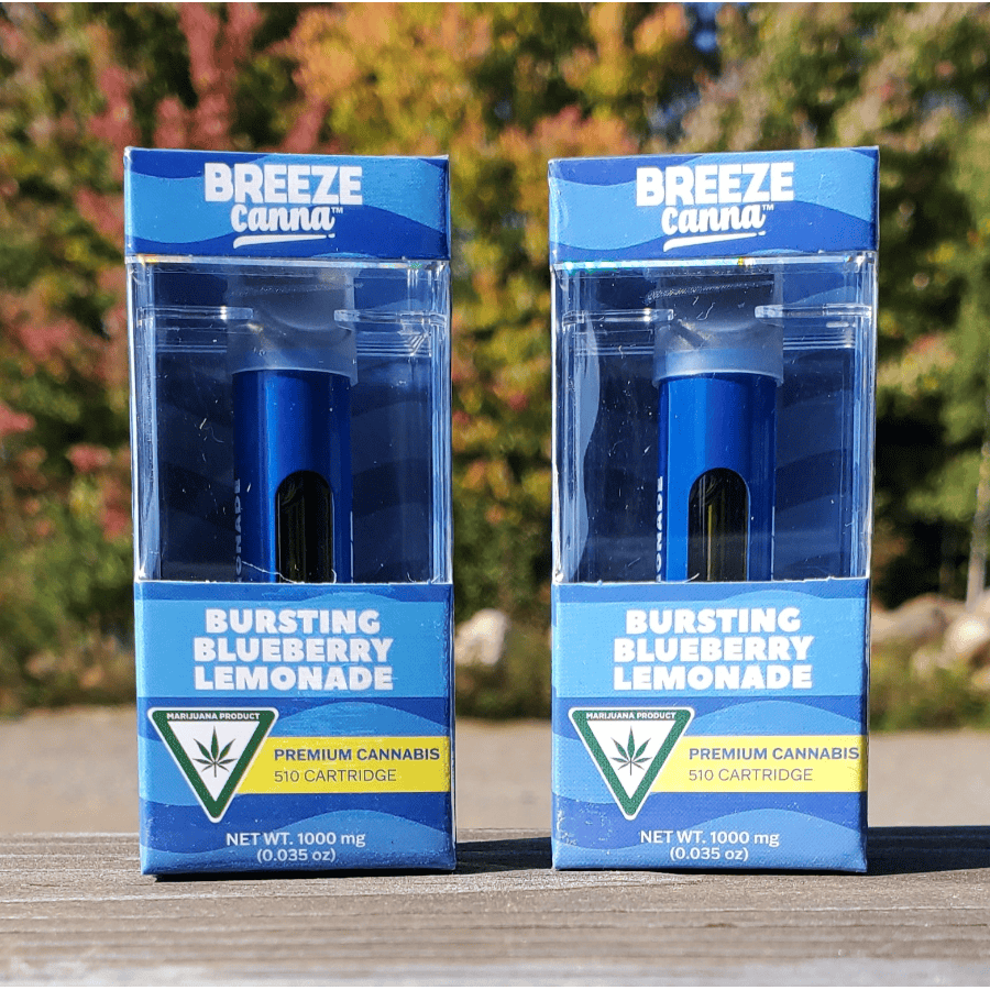 elf bar vape uk Breeze Canna Pro Spearmint Disposable 1g | House of Dank Recreational  Cannabis