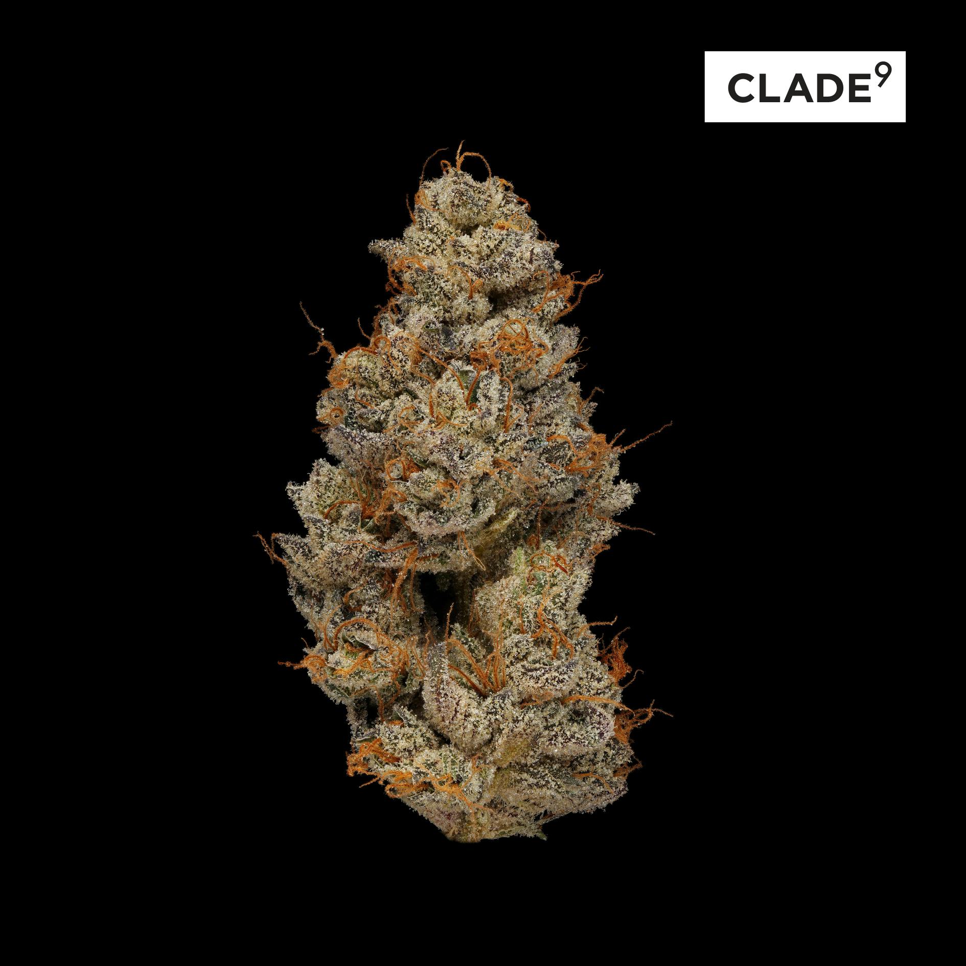 clade 9 disposable vape Clade9 main image 1