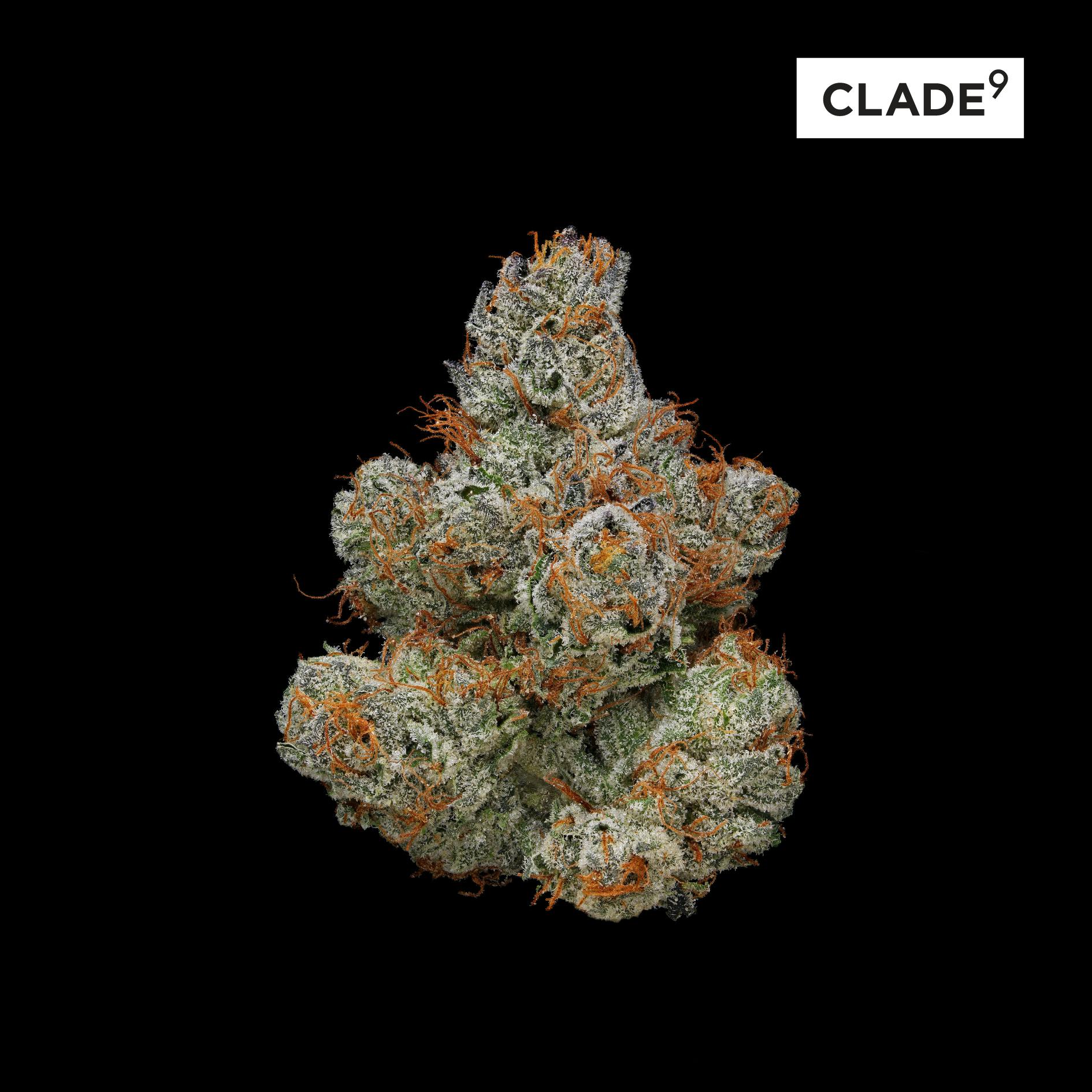 clade-9 | Premo Cannabis Company (Rec) | 2 East Front Street Keyport, NJ  07735