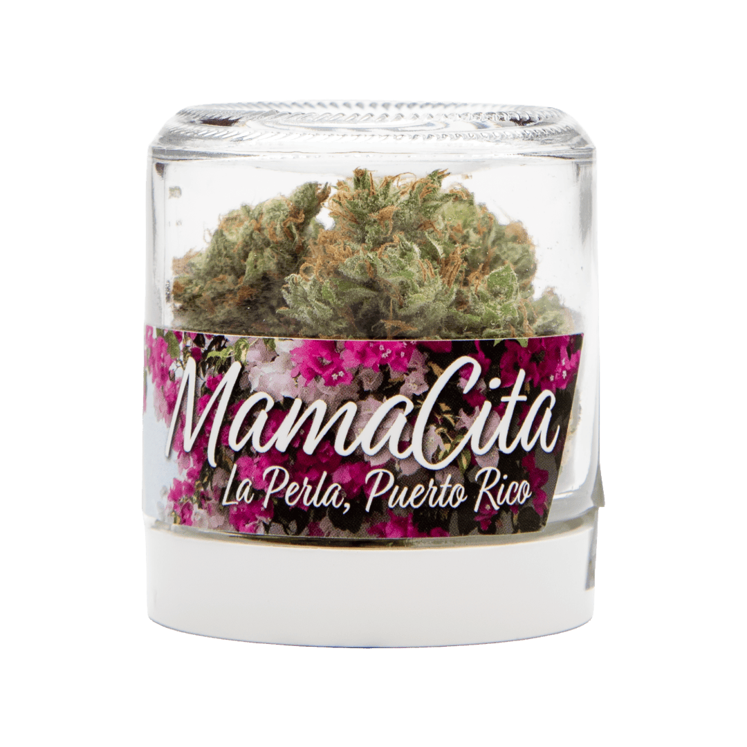 Canal Street Runtz | 50 Fold - 3.5g, Flower - Lux Pot Shop Seattle