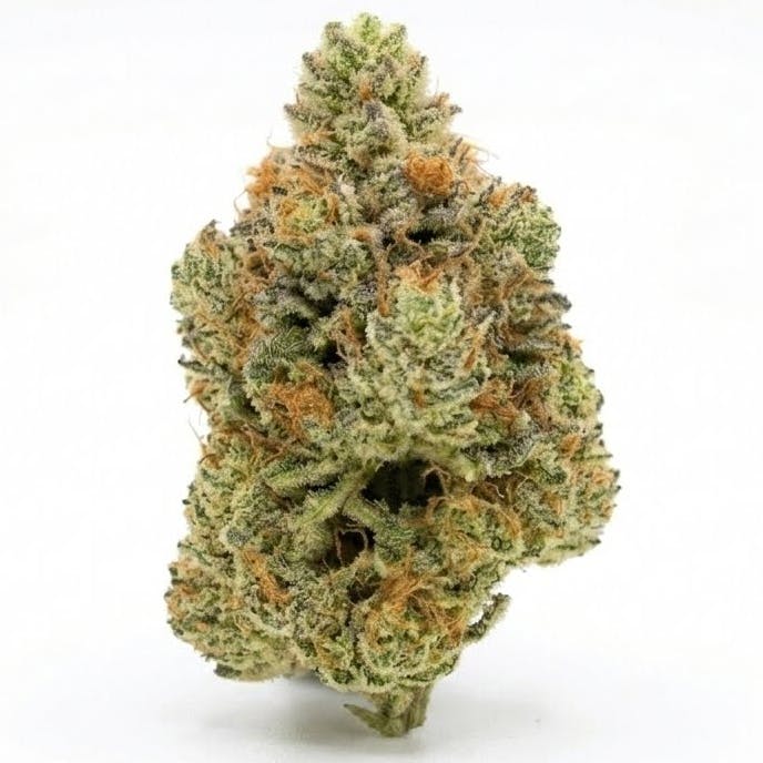 weed cigarette rolling supplies in denver co Joint Roller Ultimate Guide: Perfect Joints Every Time TOP 10 BEST Rolling Tobacco
