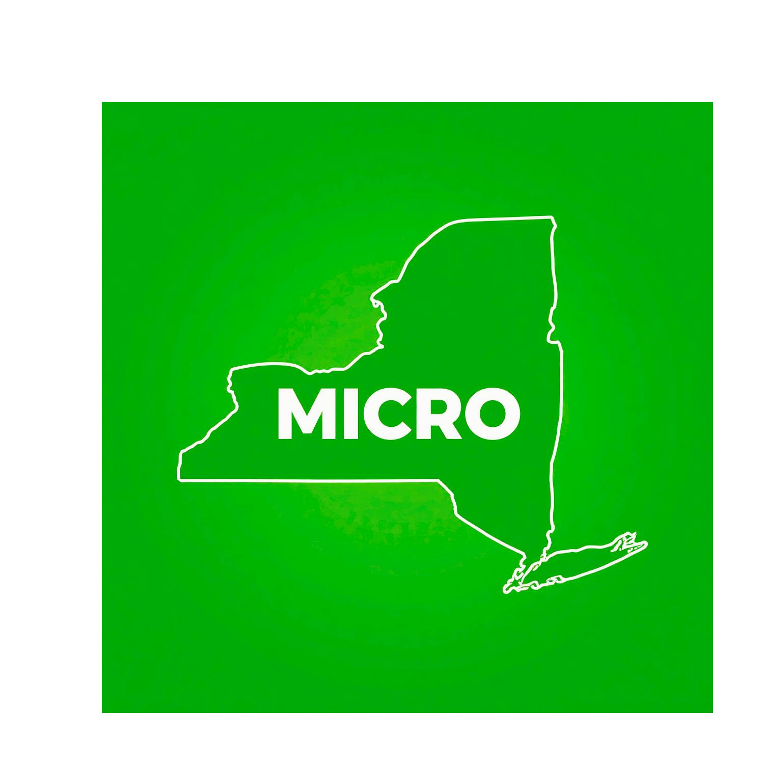 NY Micro icon