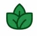 Flower icon