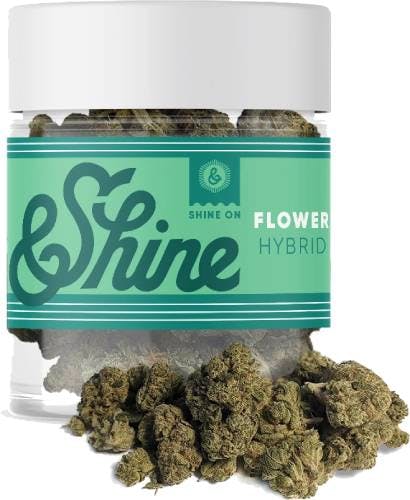 【SNOWBUDS】3g CBP BUDS CBP730mg-LIVELINE BERRY BUTANE MIXED BUDS - 7g | Flower | &SHINE | Parkway
