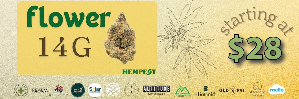 The Hempest (Rec) | 2 Conz Street Northampton, MA 01060