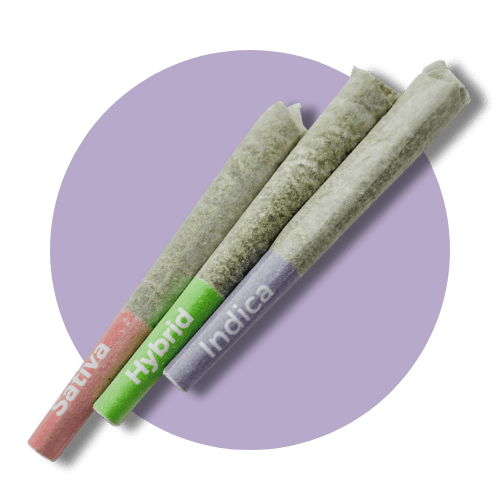 Pre Rolls icon