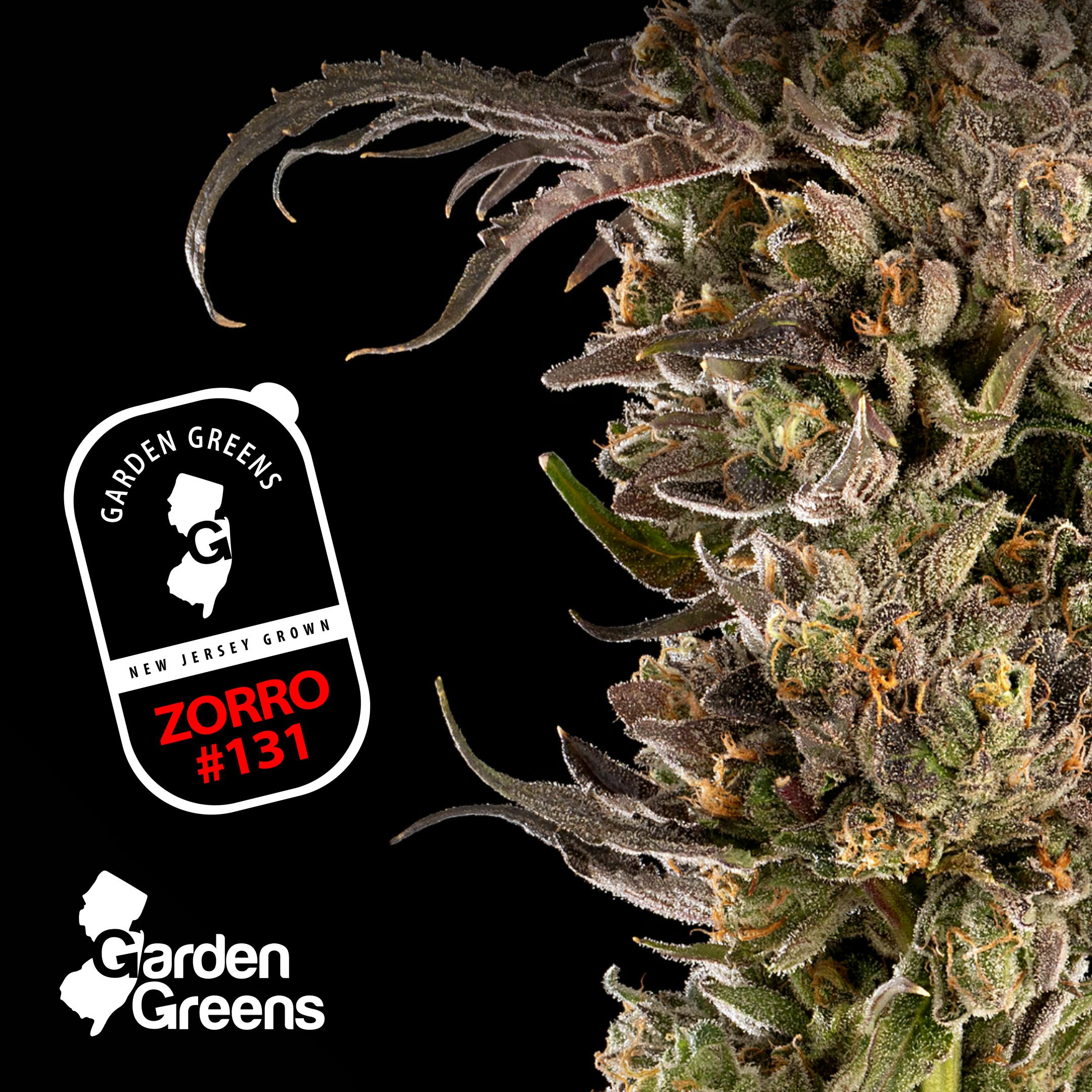 ZORRO 131 | 3.5G - 3.5g | Flower | GARDEN GREENS | at Nirvana