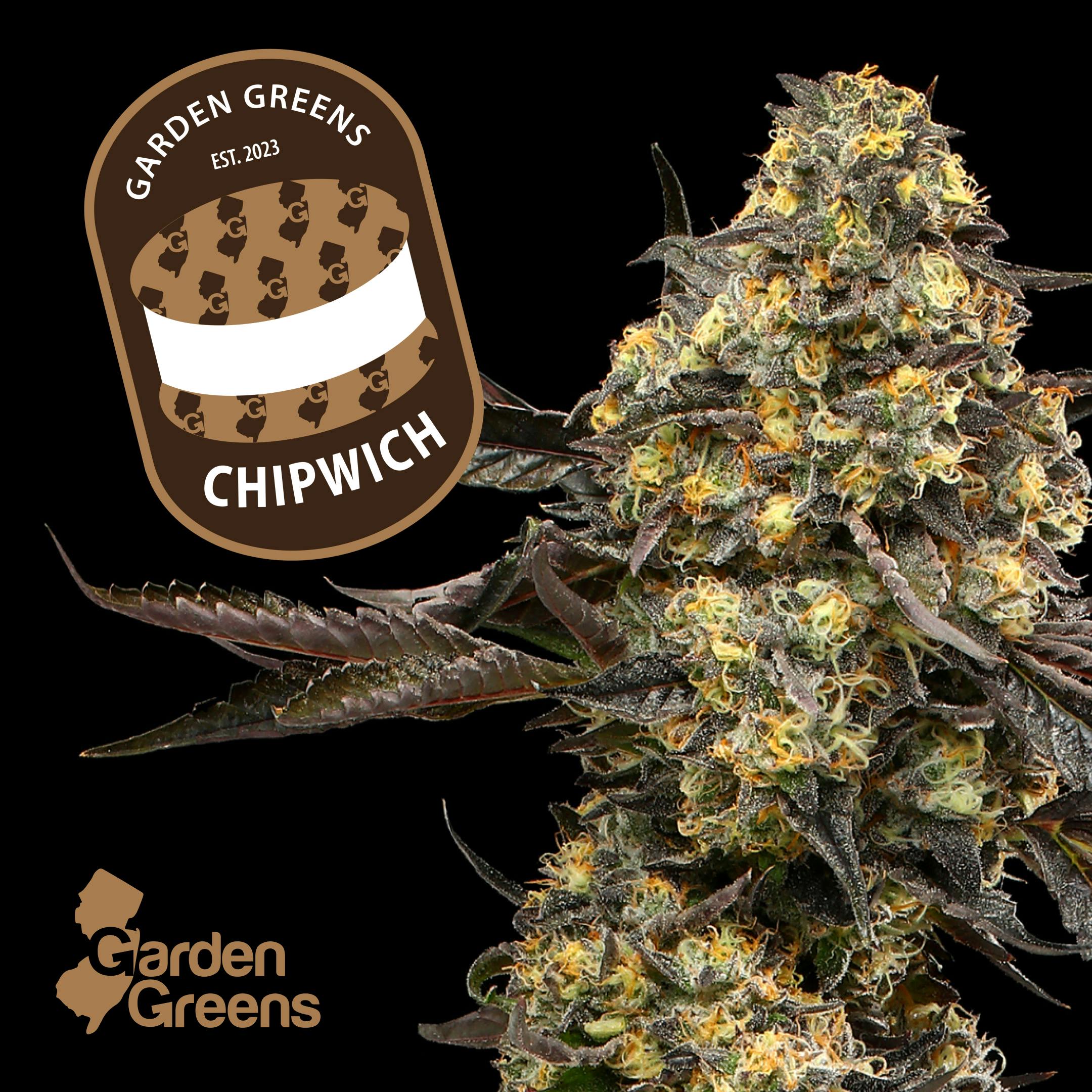 CHIPWICH | 3.5G - 3.5g | Flower | GARDEN GREENS | at Nirvana