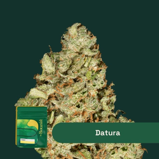 THE BOTANIST - DATURA - 14G FLOWER - 14 G - 14g | Flower | THE