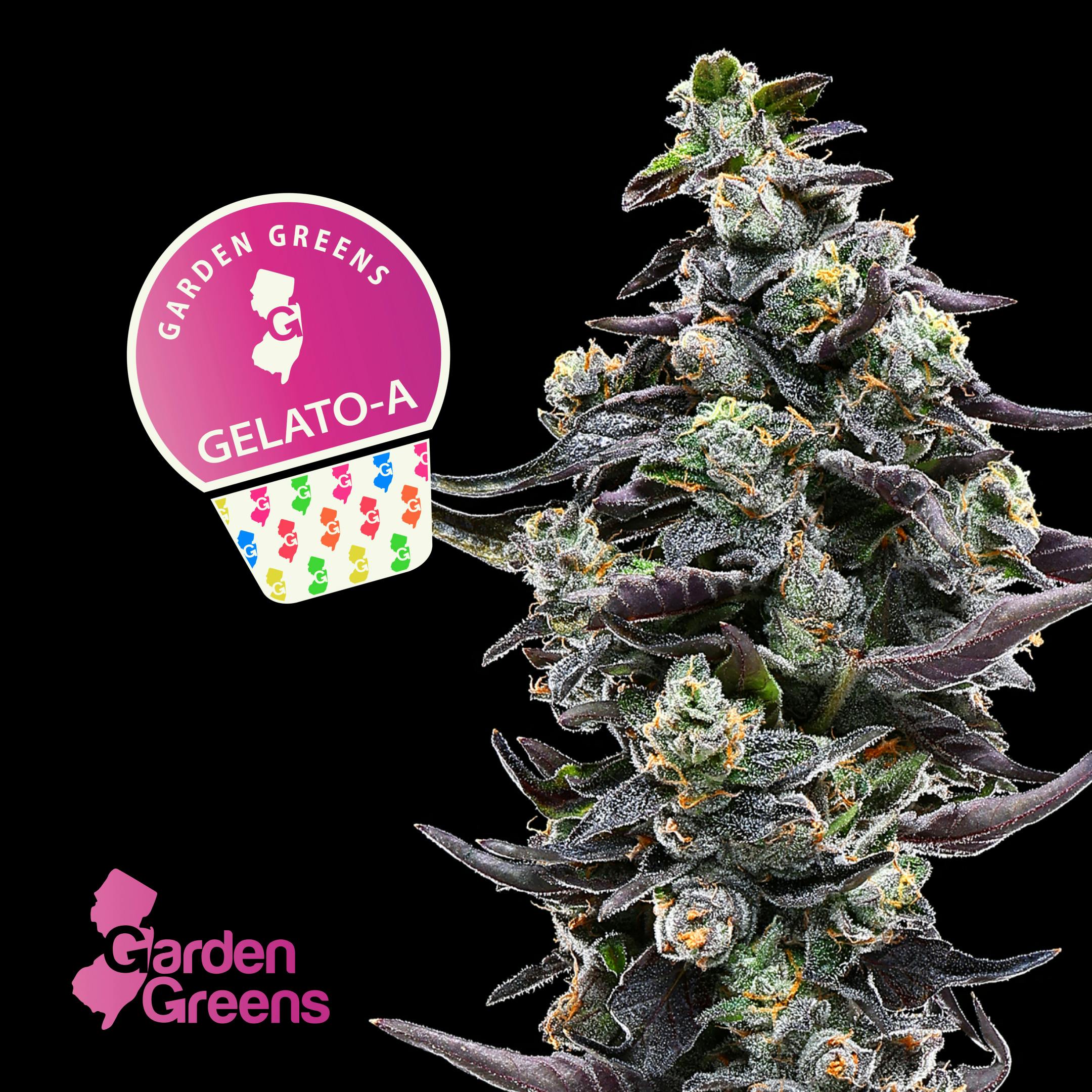 Garden Greens Gelato A Flower - 3.5g - 3.5g | Flower | Garden