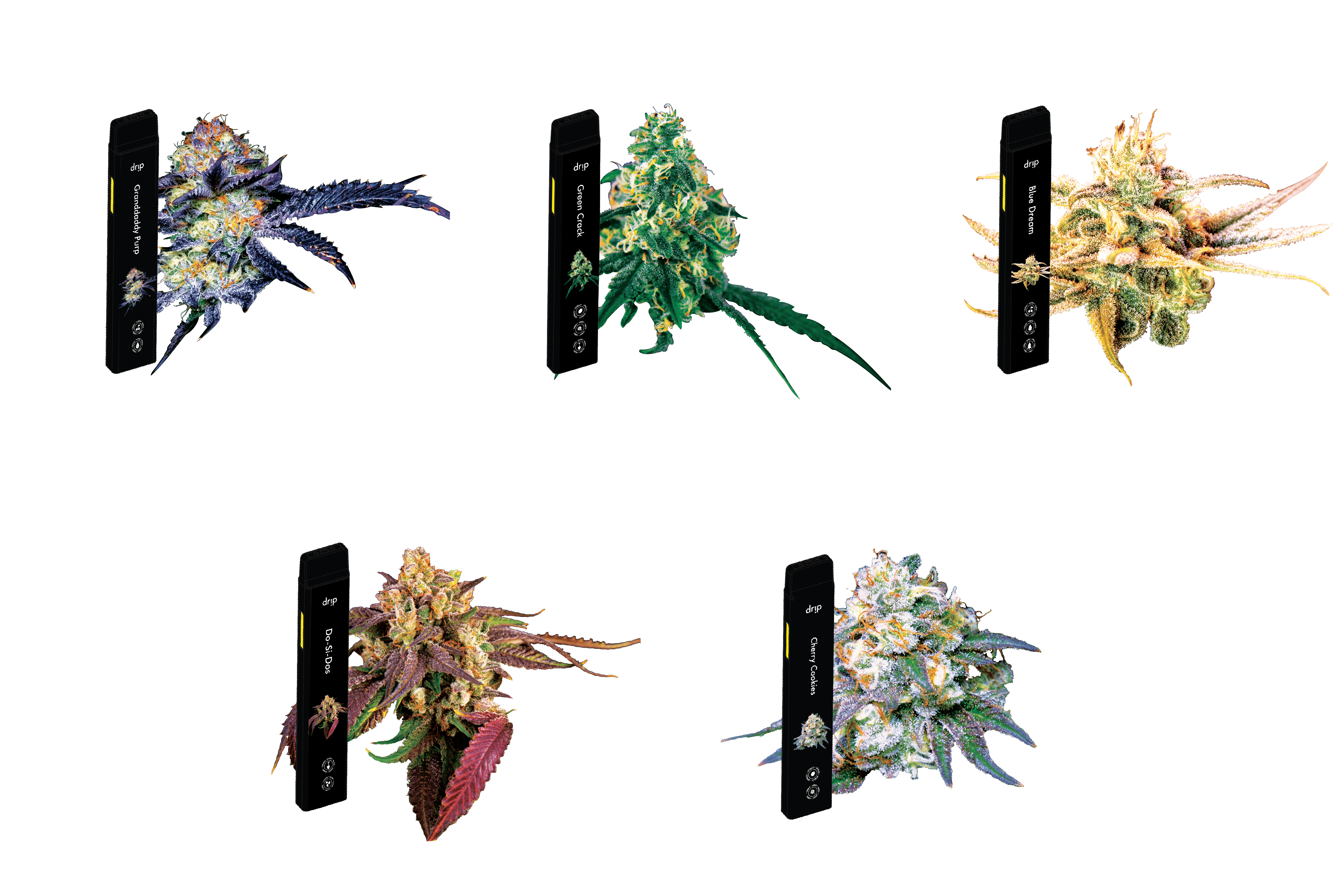 Shop adultuse Blue Dream Disposable 2g Vaporizers by DRiP Morenci