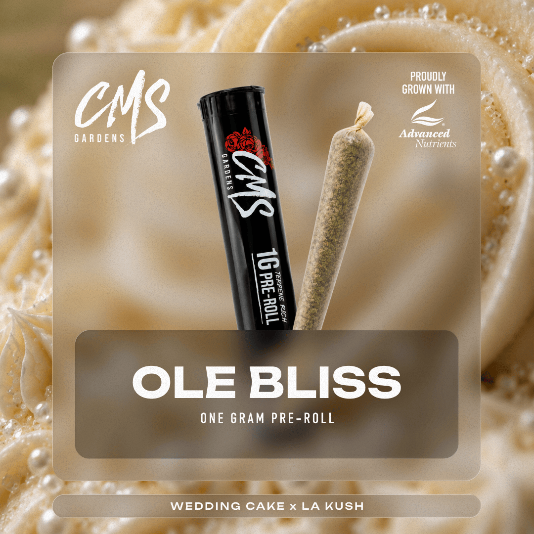 cms gardens disposable vape cms-gardens | SLATER CENTER (Rec) Flavor:Spearmint Splash dot.Space Bar 20K Smooth Grape Disposable Vape |