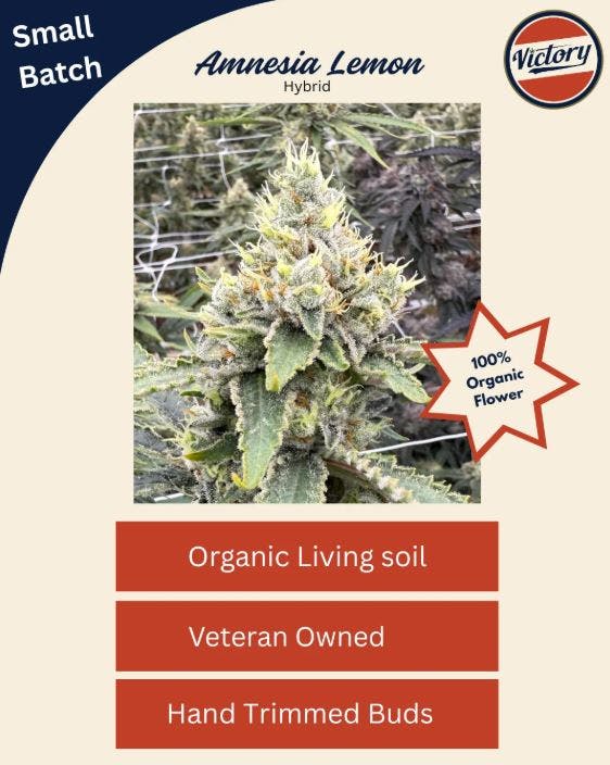 AMNESIA LEMON