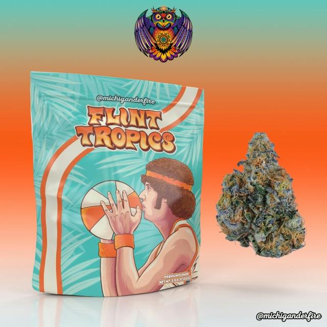MICHIGANDER FIRE – Flint Tropics | Flower - 3.5g for Sale in