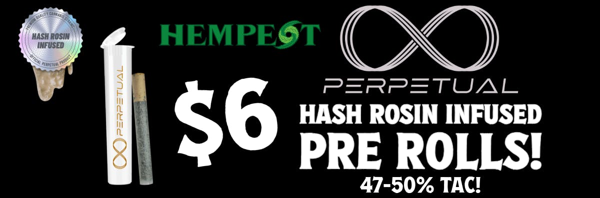 The Hempest (Rec) | 2 Conz Street Northampton, MA 01060