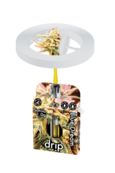 Blue Dream sativa 1g Distillate Cart Drip Elevated Exotics (Rec)