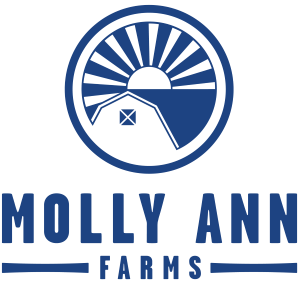 store-logo