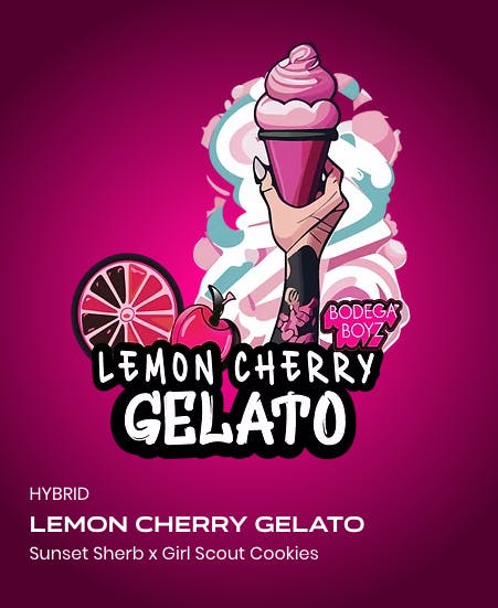 Shop Bodega Boyz - Lemon Cherry Gelato 