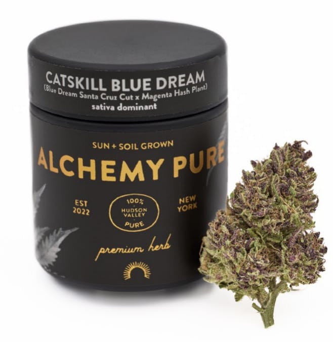 Alchemy Pure - Catskill Blue Dream - Flower - 3.5g - 3.5g | Flower |  Alchemy Pure | Sesh NYC - Bronx (Rec)