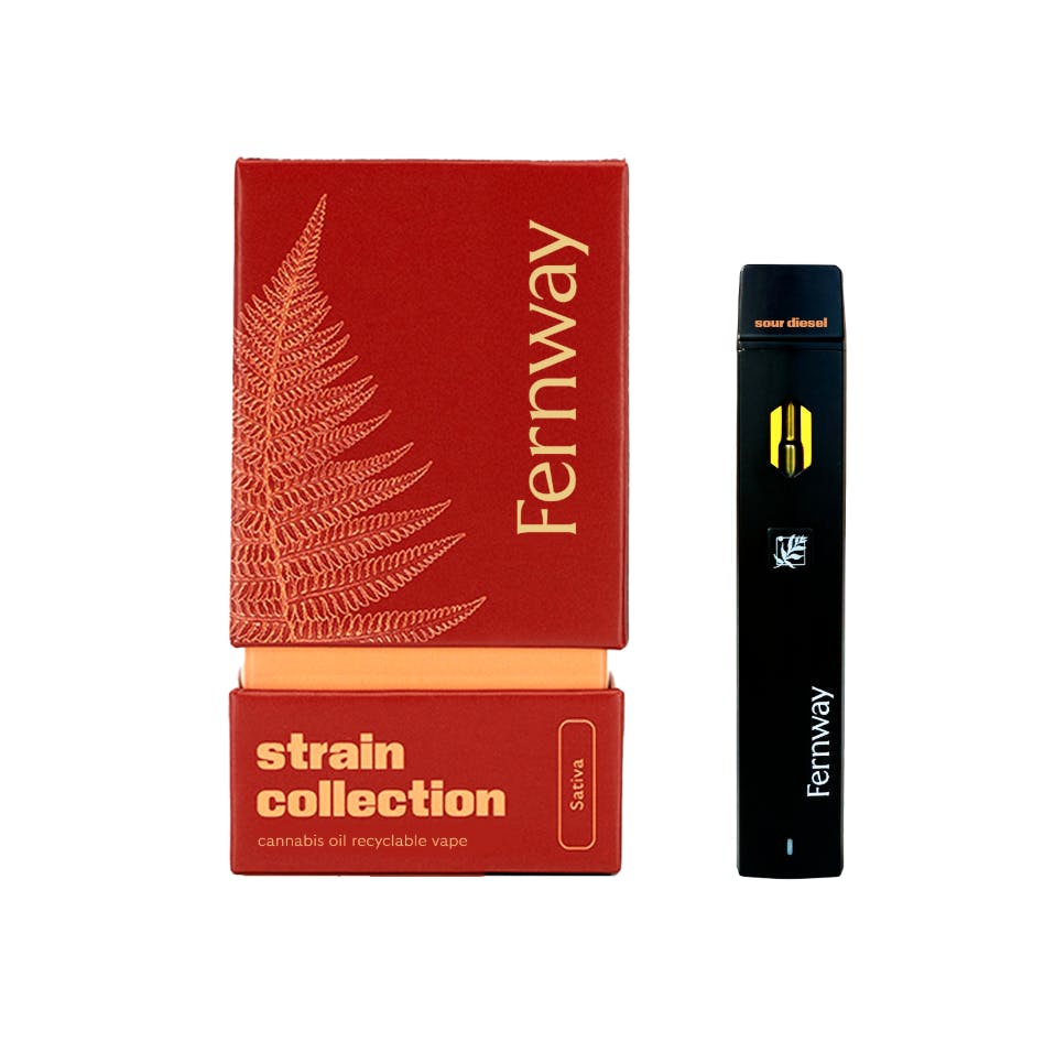 Shop Fernway - Stylus - 510 Battery - Black in New York City