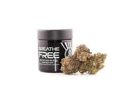 Shop White Lotus (H) | 1/8oz Flower | Breathe Free - 3.5g • Flower