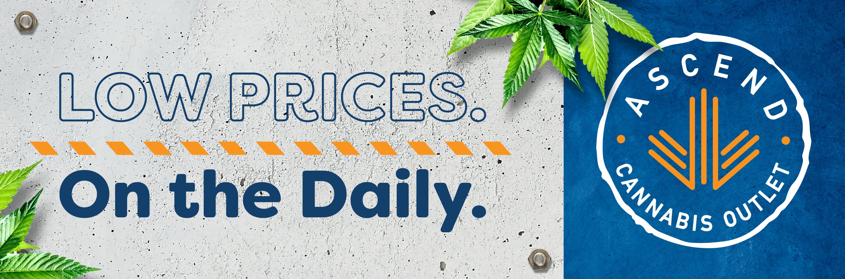 New Bedford, MA Dispensary Recreational Menu Ascend Cannabis