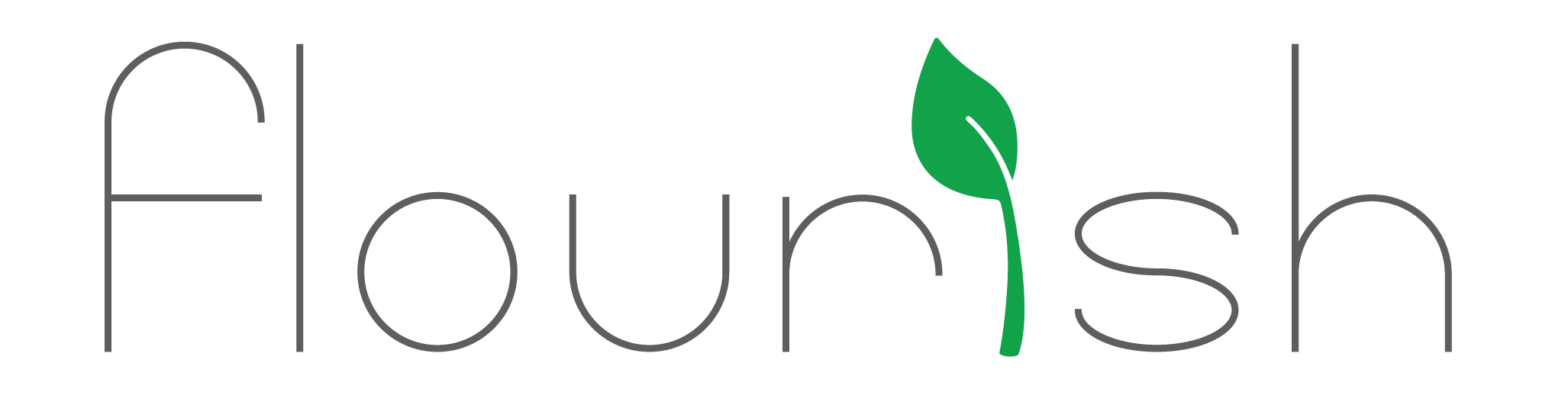 Flourish Demo Retail - Flagship Store (Rec) logo