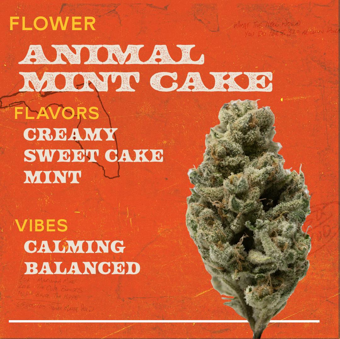 Cultivar Review: Animal Cake by Ozone - The Highest Critic