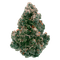 Flower icon