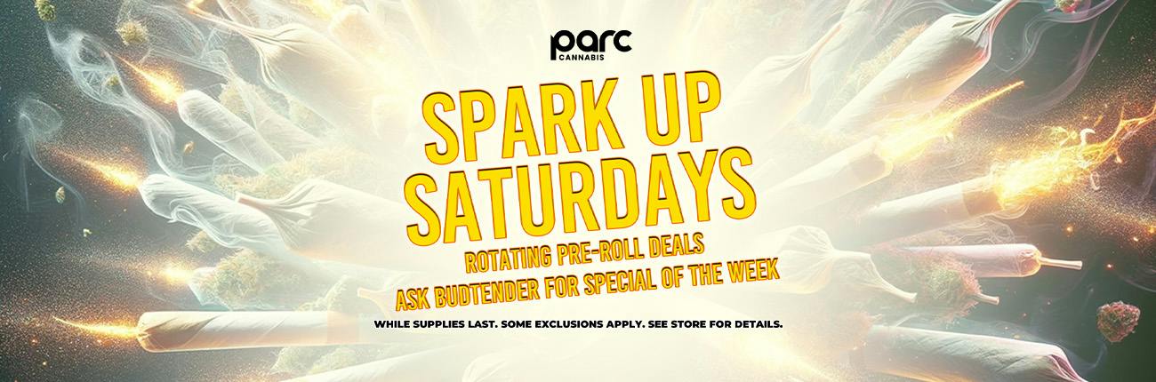 SPARK UP SATURDAYS