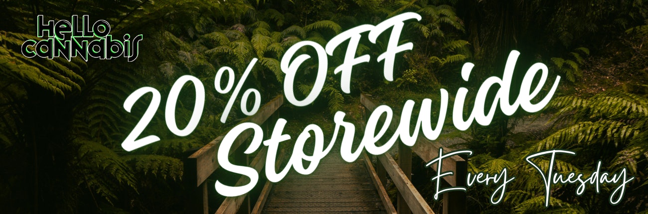 Tuesday Deal Only! 20% OFF Storewide
