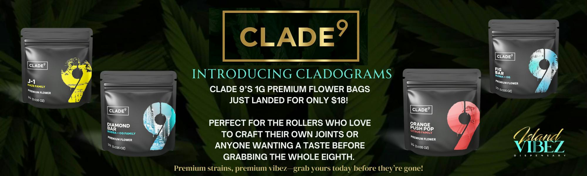 INTRODUCING CLADOGRAMS