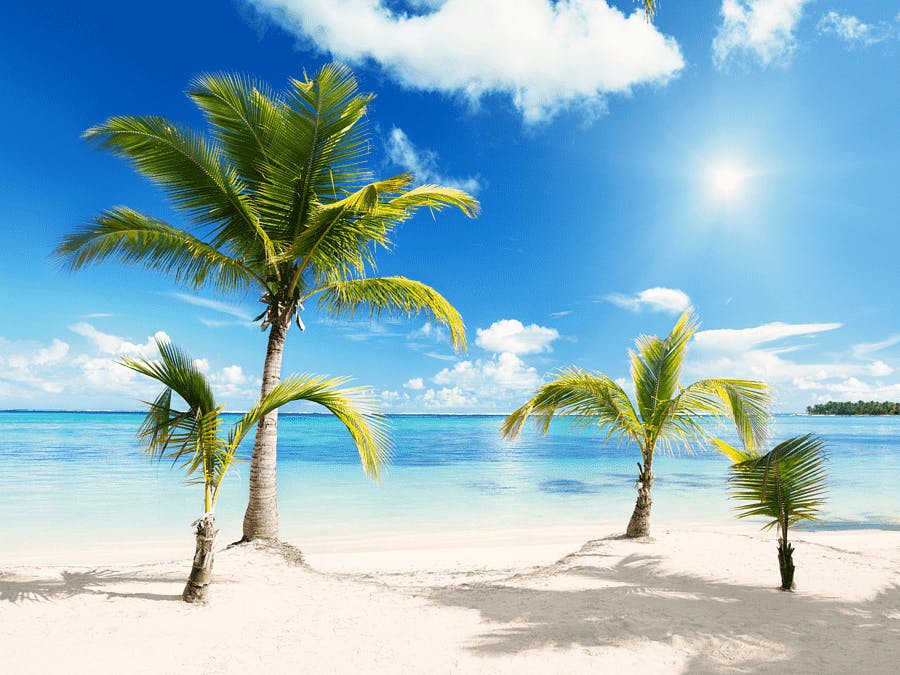Summer Savings icon