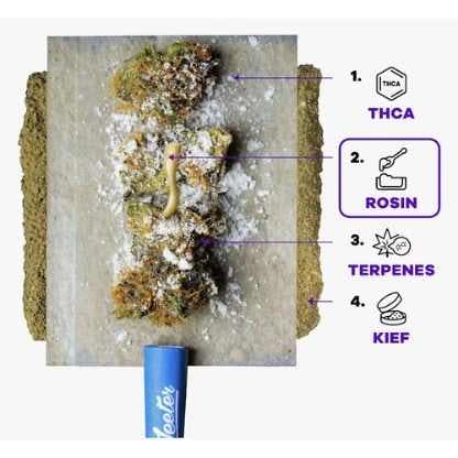 JeeterJeeter | Sugar Plum - Baby Jeeter | Quad Infused Preroll