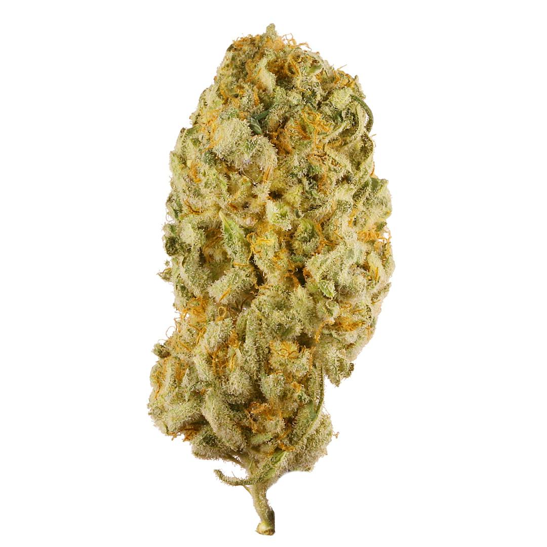 【Sativa】 Jack Herer 1ml CBD 09 thumbs_0005_jack-main-nug.jpg