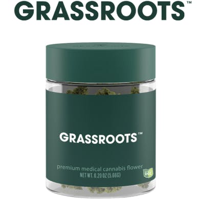 【値引きしました！】Grass Roots potbelly Grassroots | Flower | Prepack | Whole Flower | Tropicana Banana