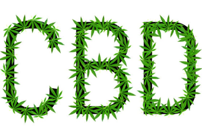 CBD icon