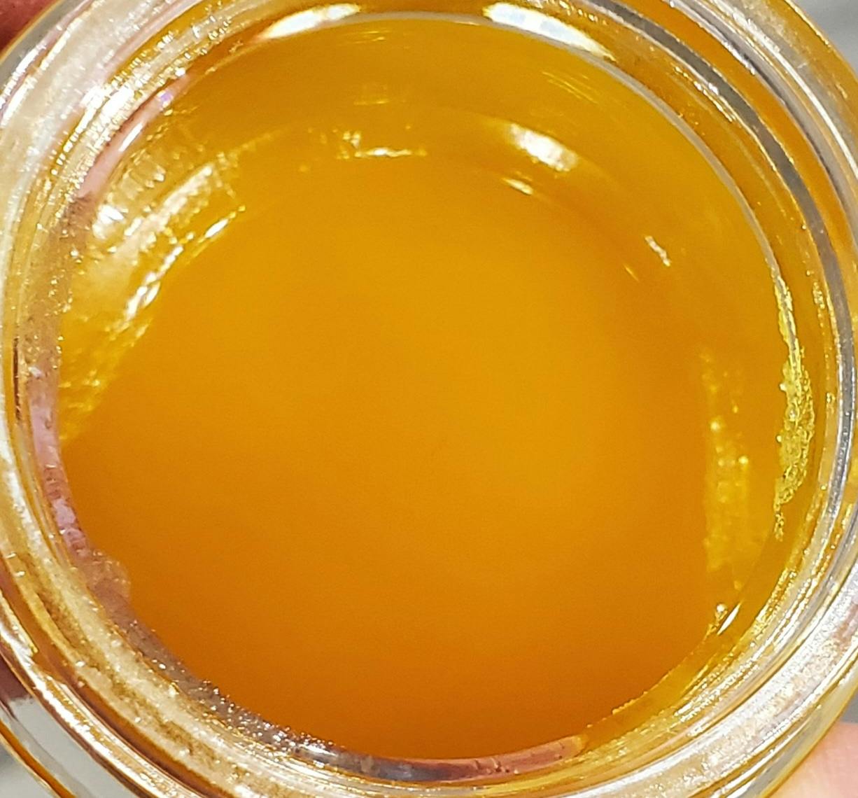 Shop Trap House 24K Gold 14g Live Jam Baller bucket 14g Concentrates