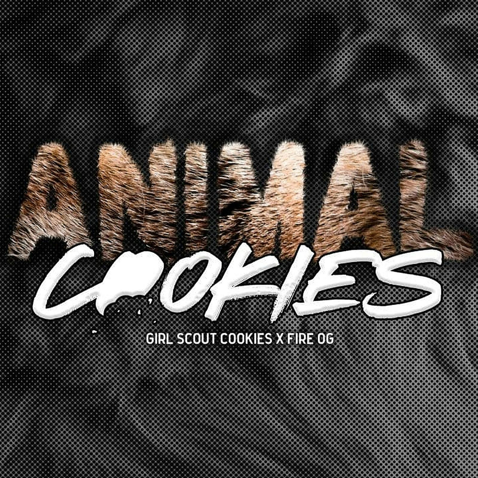 Animal Cookies