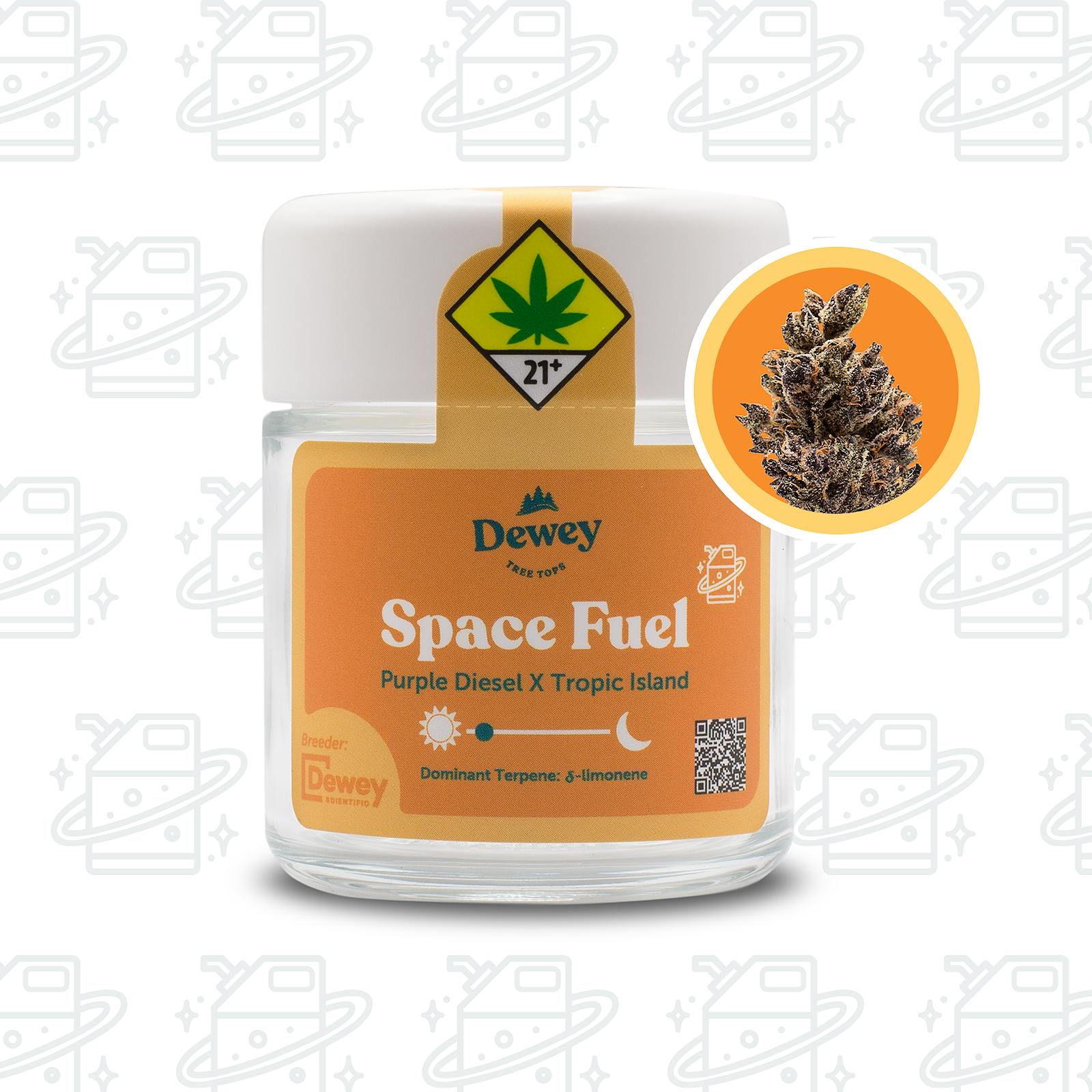Space Fuel